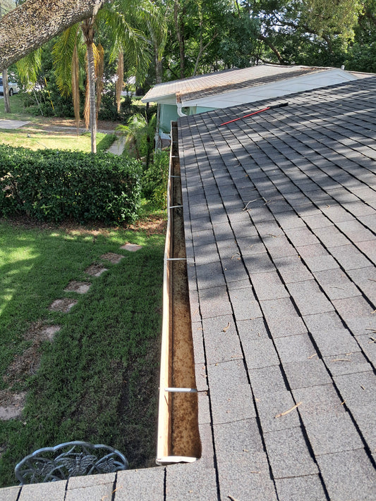 Rain Gutter Cleaning